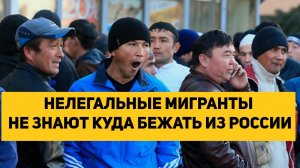 НЕЛЕГАЛЬНЫЕ МИГРАНТЫ НЕ ЗНАЮТ КУДА БЕЖАТЬ ИЗ РОССИИ