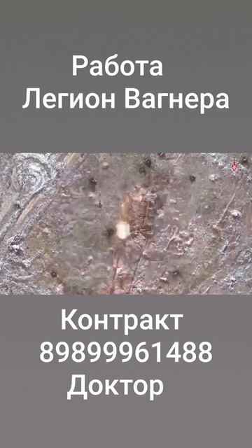 Легион Вагнера.Работа операторов.