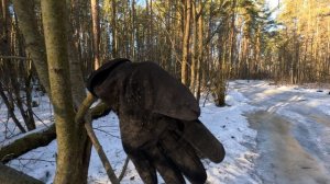 Перчатка в лесу #2