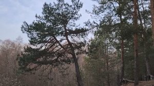 Аллергия на руководство. Причины данного "заболевания"