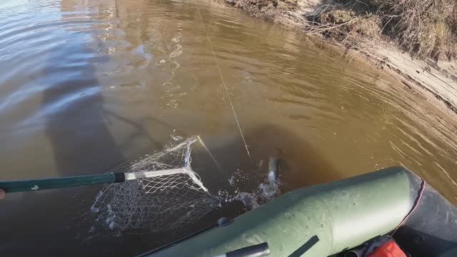 🎣ЕЩЕ ОДНА🎣#топыкатегорий#fishing#рыбалка#carpfishing#природа #туризм#ловля#отдых#ловлящуки#природа