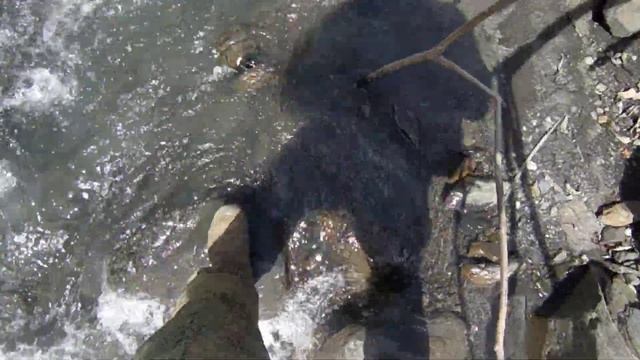 Биотехнические работы смотреть онлайн