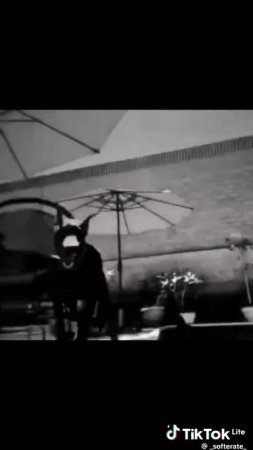 c8d10d4e313684501d99b749a2c7609c.mp4