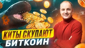 КИТЫ ПОКУПАЮТ БИТКОИН прямо сейчас! Следим за КОШЕЛЬКАМИ КИТОВ