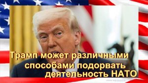 СМИ сообщили о возможности Трампа подорвать деятельность НАТО разными способами
