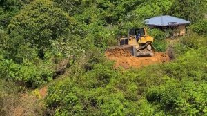 The Largest Scale of Bush Cleared by a CAT D7R - Dozer Expanding Plantation