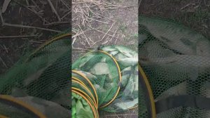 Открытие летнего сезона