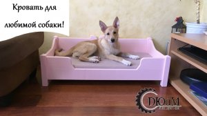 Кровать для любимой собаки!