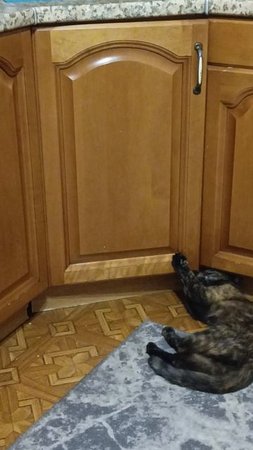 Сим-сим откройся..