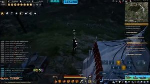 Black Desert Online игра на страже качаем быстро охоту на пернатых волках