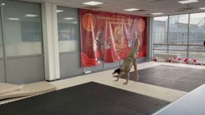 Волоха Вероника. Рандат-сальто