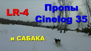 LR-4 пропы Cinelog 35 и сабака 2