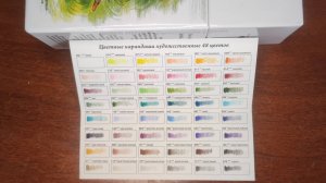 Цветные карандаши Малевичъ Распаковка и выкраска