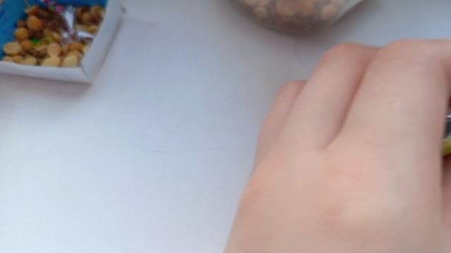 утренний влог. С моим попугаем Виа