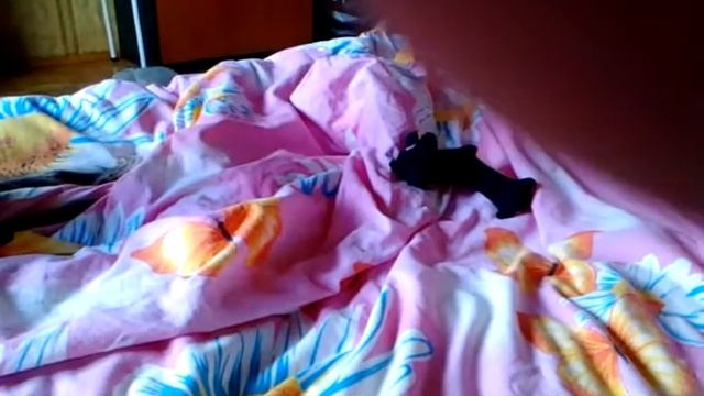 Птицы пролетают понятие системы смотреть онлайн