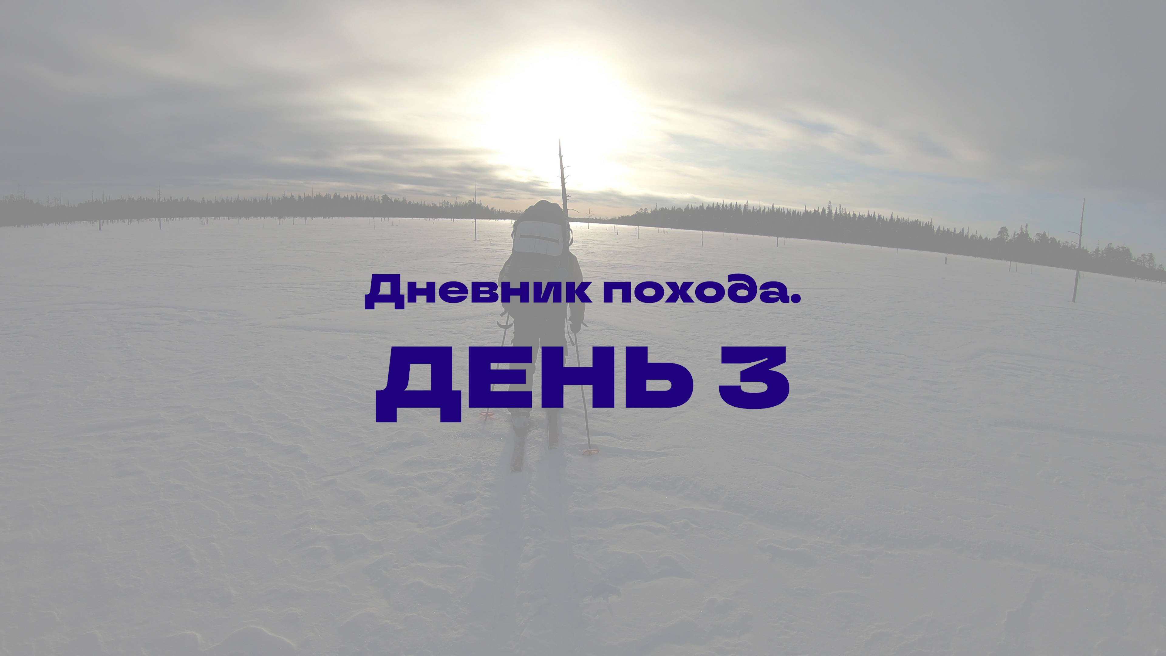 Тайга 2025
