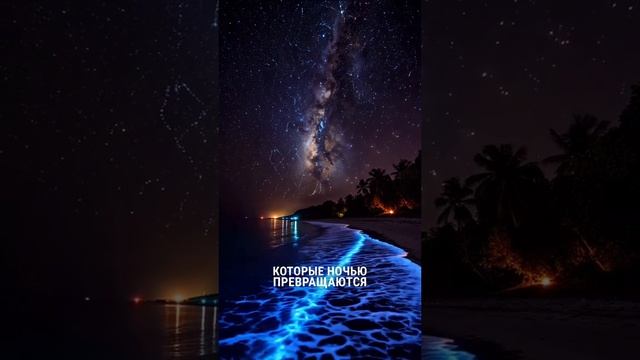 Самые удивительные места на планете
