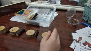 Автоматизация звука Ш в слогах с использованием природного материала и нейроупражнений