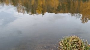 Озеро Хрустальное пос.Солнечный Хабаровский край 23г.