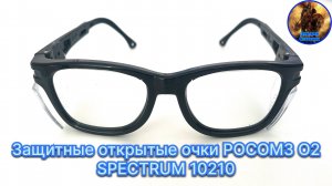 Защитные открытые очки РОСОМЗ О2 SPECTRUM 10210