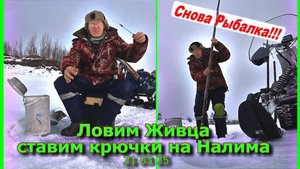 Ловим Живца и ставим Крючки на Налима 21 03 25