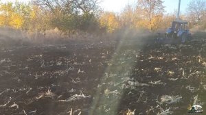 Осенняя ВСПАШКА!Мтз 1025 (Д-240) и Lovol 1304!