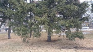 Три простых способа восстановить энергию.