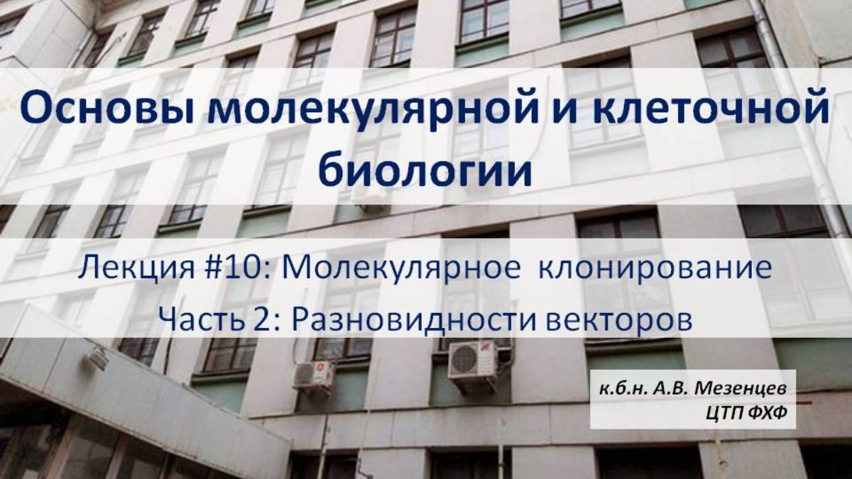 Основы молекулярной и кл биологии (2024) Л10 Молекулярное клонирование Ч2 Разновидности векторов.