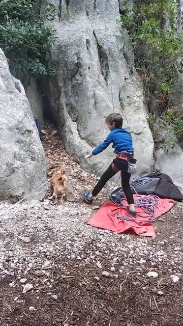 Страхуем вместе смотреть онлайн