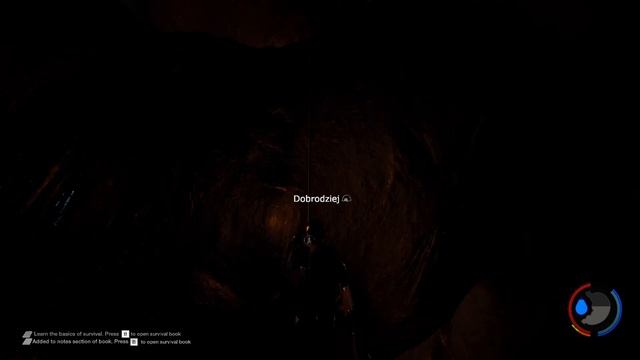 The Forest z Dobrodziejem - Katana w dłoń i ruszamy! #1 смотреть онлайн