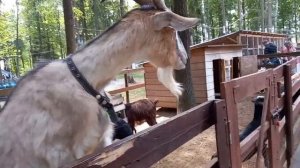 ФОТО для мужа.......