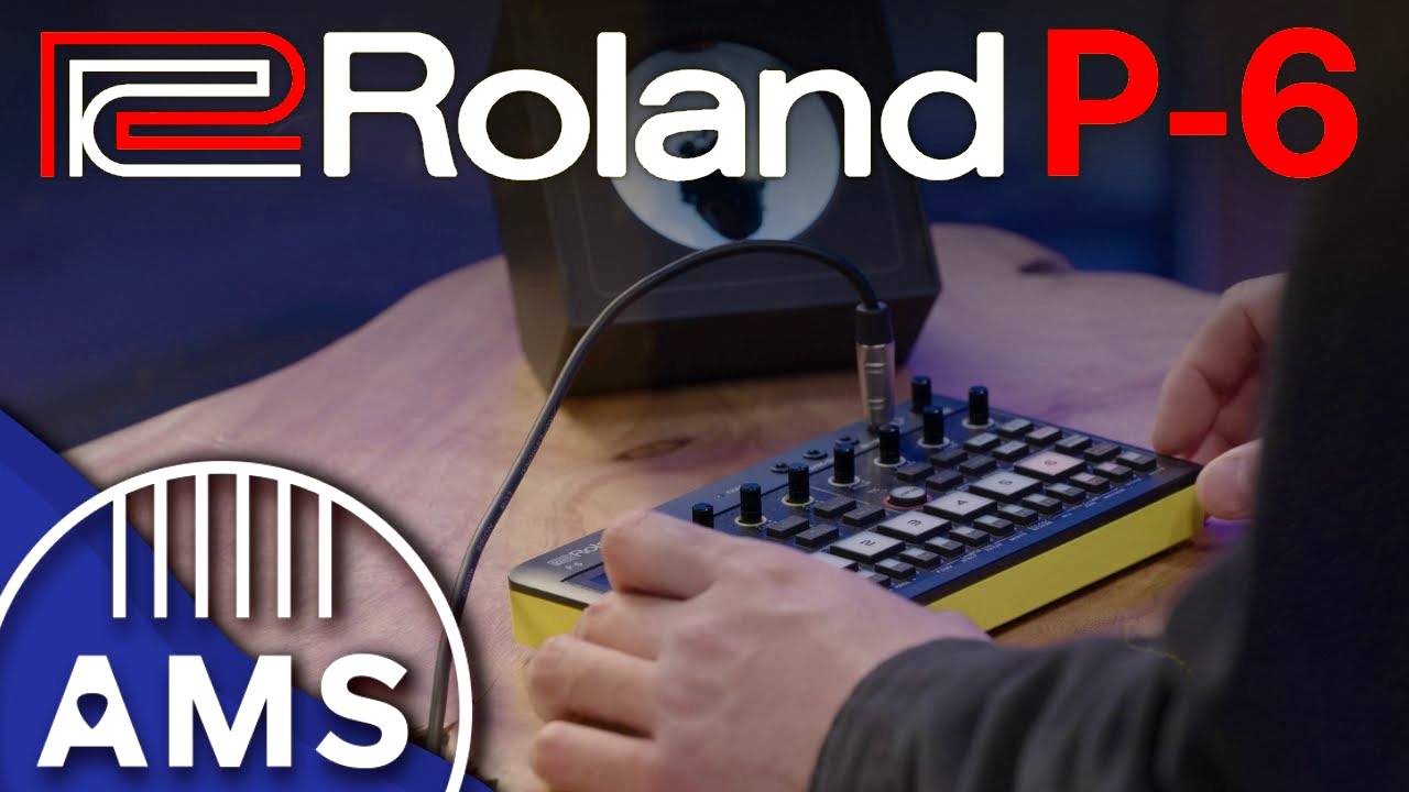 Roland P-6: Pro Sampling in Your Pocket