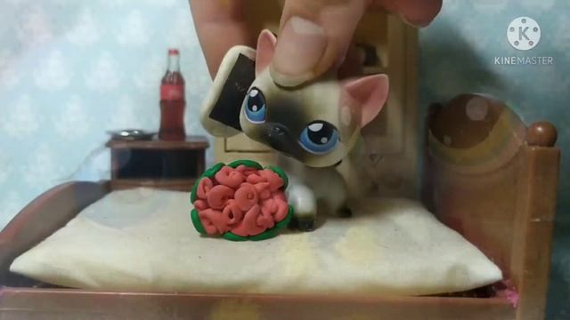 клип: LPS - lovely ( по мотивам сериалов Alice LPS TV) смотреть онлайн