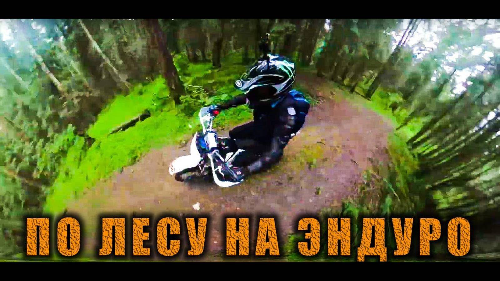 Покатушки на мотоцикле эндуро по лесу
