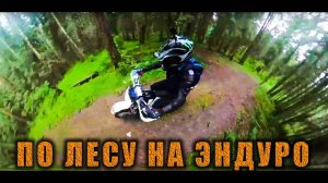 Покатушки на мотоцикле эндуро по лесу