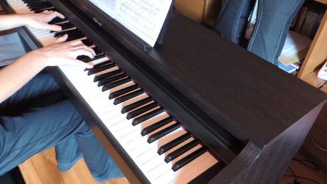 NieR Gestalt & Replicant - Snow in Summer (Piano Cover) смотреть онлайн