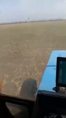 газ в пол-кас в поле.