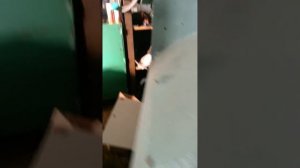 Многопильный станок ЦМР3