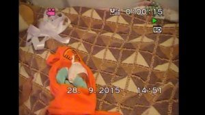 2015.09.28 выписка из роддома ГБЦ Пирогова
и первый день Таси дома