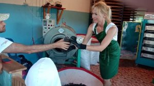 Экскурсия на плантацию чая,не далеко от Сочи в районе Мацеста.mp4