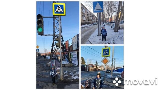 дорожная безопасность