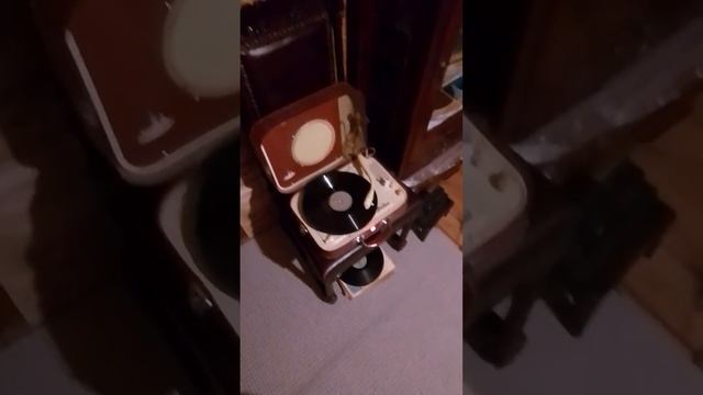 Соколы