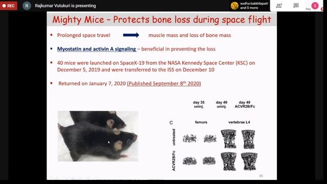 Day 2 :: 3 Day International Webinar on "IMPACT OF PHYSICS IN HEALTHCARE" смотреть онлайн