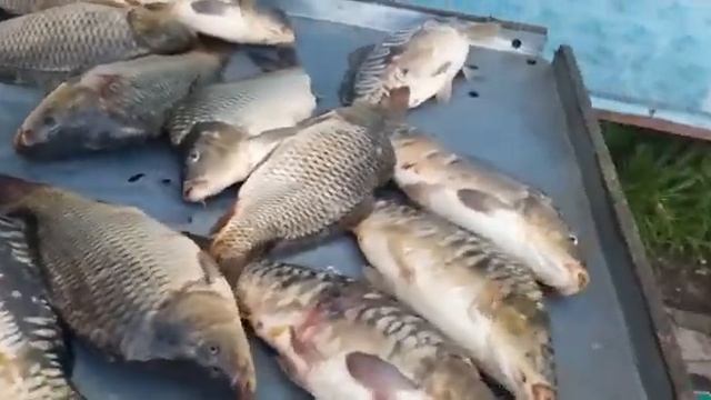 27 июля 2021 г. смотреть онлайн