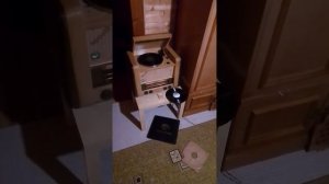 Полидор Фокстрот Урал 57