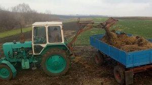 Погрузка навоза самодельным погрузчиком на ЮМЗ