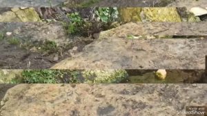 красивые места