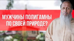Мужчины полигамны по своей природе?