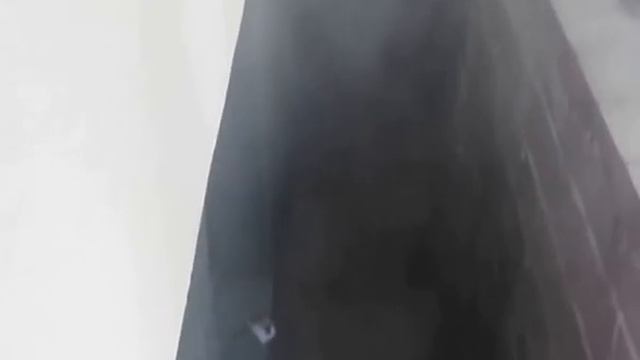 Компромат на котов смотреть онлайн