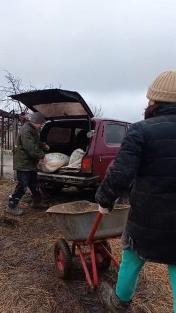 ДЕРЕВЕНСКИЙ ФИТНЕС или КАК ЗАРАБОТАТЬ ГРИЖУ.🤣 ТГК:DanilaFermer #животные #farming #Обзор